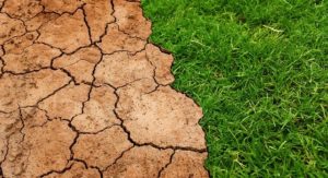 Der Klimawandel hat Dürren zur Folge