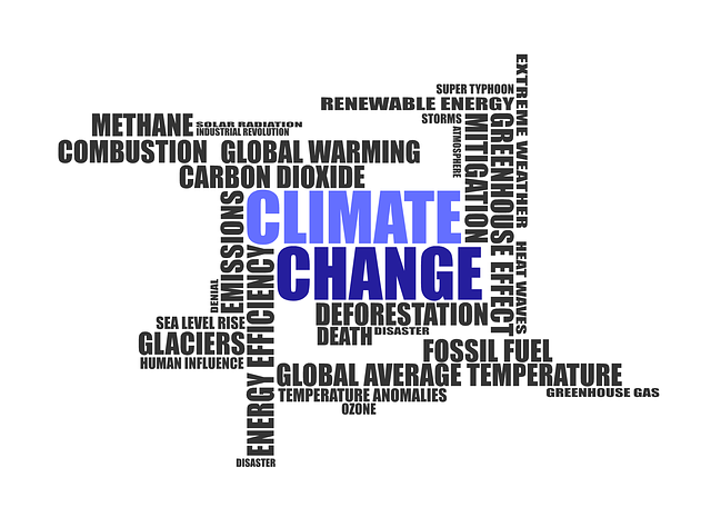 Klimawandel und die Zukunft der Jugend