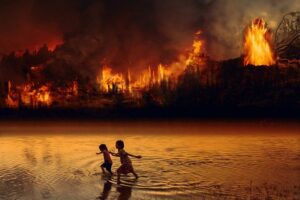 Der Amazonas brennt