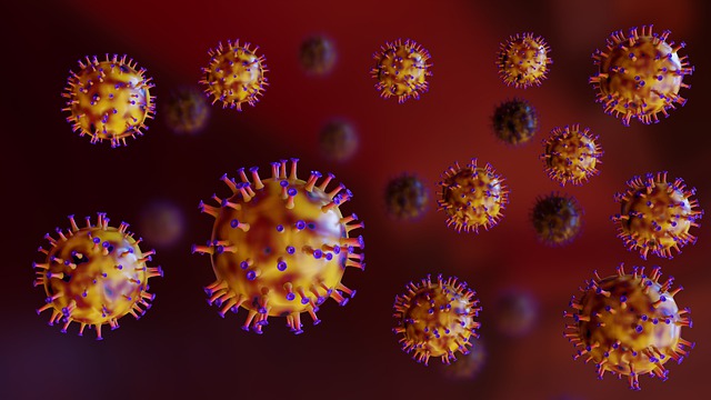 Endlose Mutation von Viren?