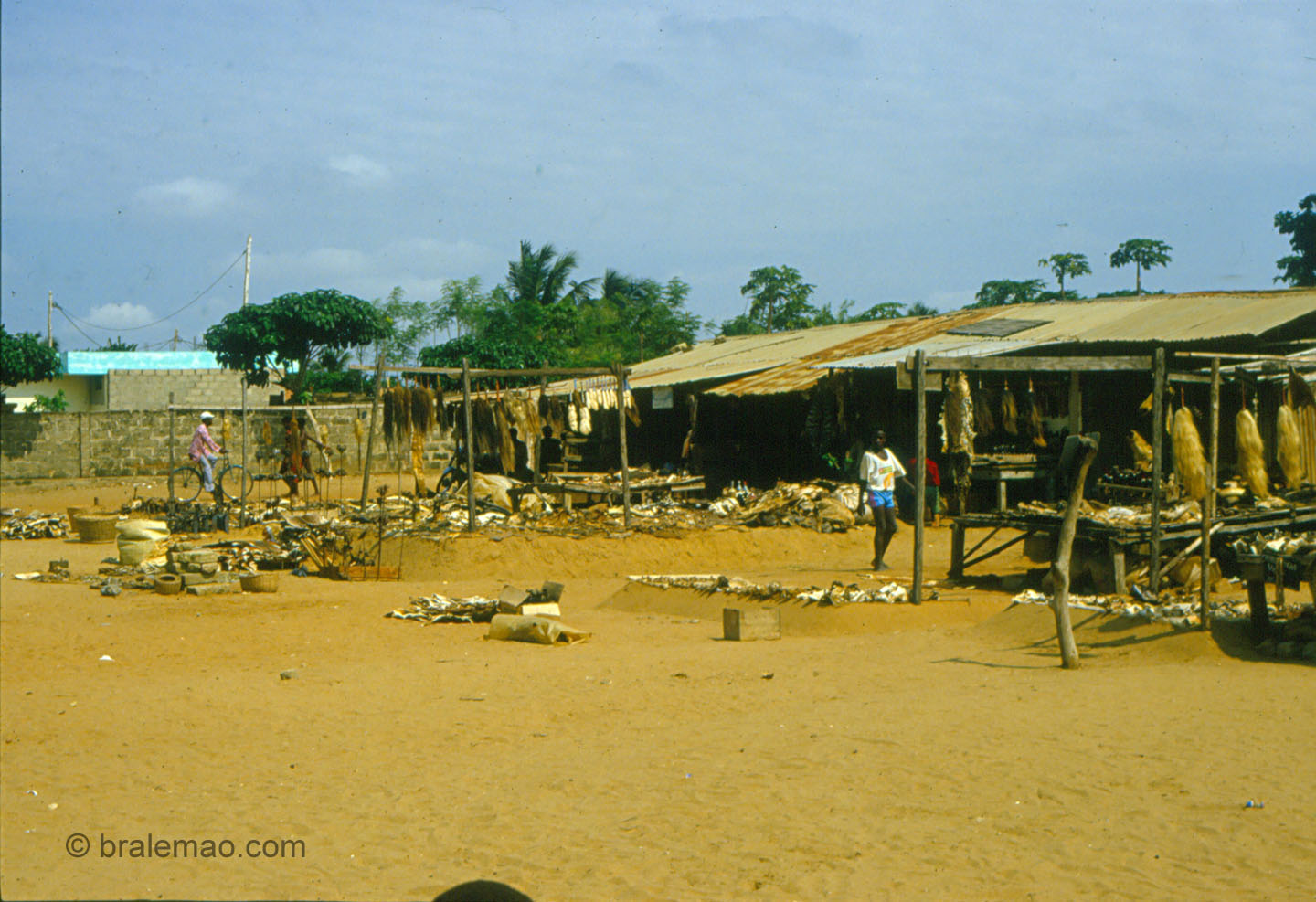Maersk Bravo - Dorf in Togo mit Vodoo-Artikeln (1987)